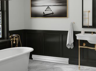 Dimplex Element Baseboard Bathroom LS