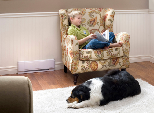 Little boy reading a book with Australian shepherd near a Dimplex LC Baseboard heater