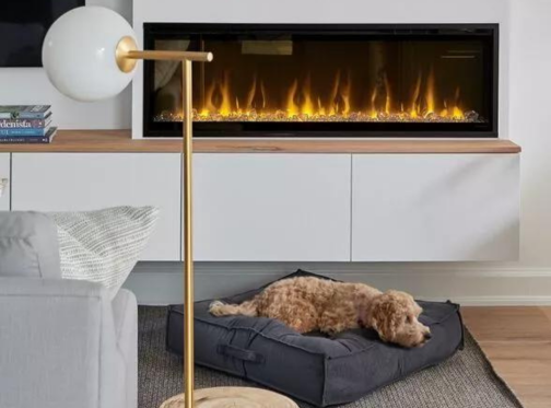 Dog in front of electric fireplace