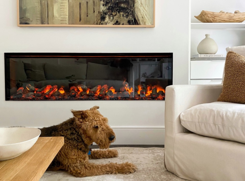 Dog in front of electric fireplace